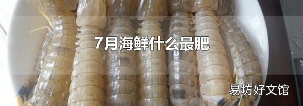 7月海鮮什么最肥