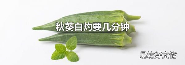 秋葵白灼要几分钟
