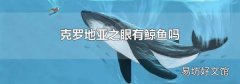 克罗地亚之眼有鲸鱼吗