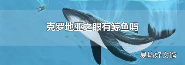 克羅地亞之眼有鯨魚嗎