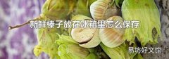 新鲜榛子放在冰箱里怎么保存