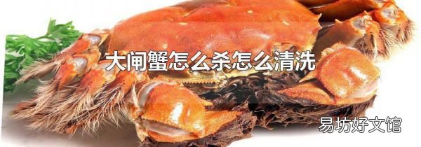大閘蟹怎么殺怎么清洗