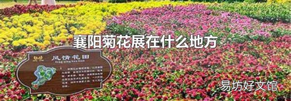 襄陽(yáng)菊花展在什么地方