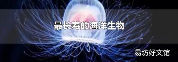 最長(zhǎng)壽的海洋生物