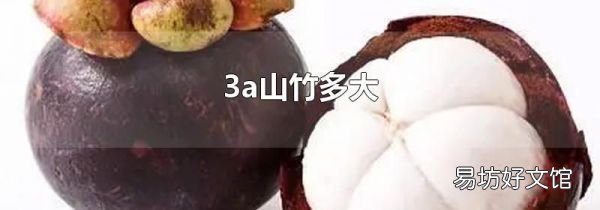 3a山竹多大
