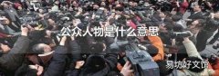 公众人物是什么意思
