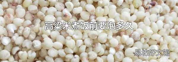 高粱米煮饭前要泡多久