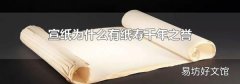 宣纸为什么有纸寿千年之誉