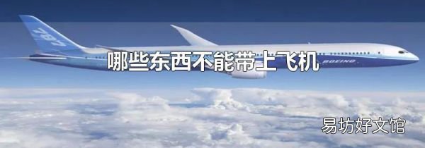 哪些東西不能帶上飛機(jī)