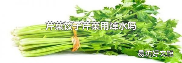 芹菜饺子芹菜用焯水吗