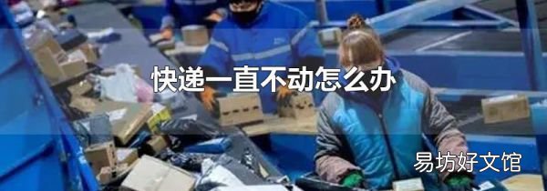 快递一直不动怎么办