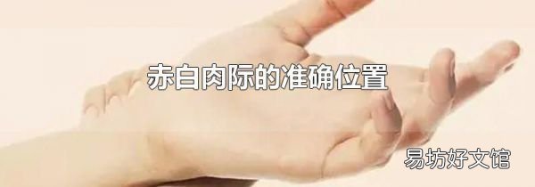 赤白肉际的准确位置