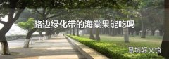 路边绿化带的海棠果能吃吗