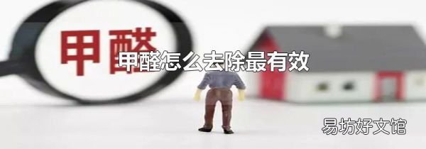 甲醛怎么去除最有效
