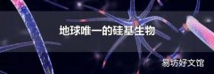 地球唯一的硅基生物