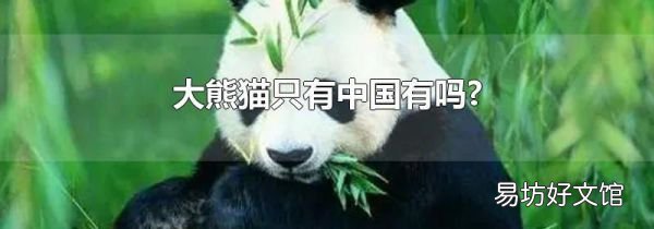 大熊貓只有中國(guó)有嗎?