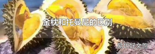 金枕和托曼尼的區(qū)別