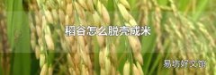 稻谷怎么脱壳成米