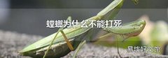 螳螂为什么不能打死
