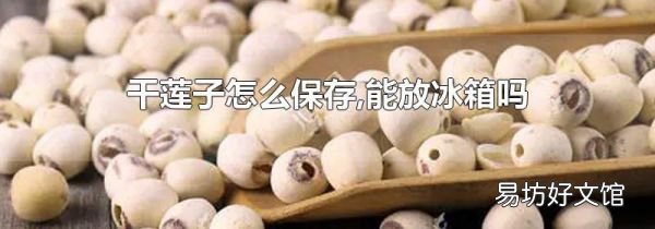 干莲子怎么保存,能放冰箱吗