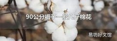 90公分褥子一般几斤棉花