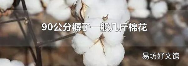90公分褥子一般几斤棉花