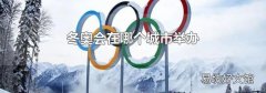 冬奥会在哪个城市举办