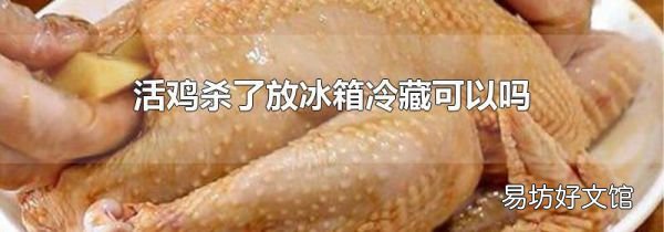 活雞殺了放冰箱冷藏可以嗎