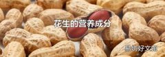 花生的营养成分