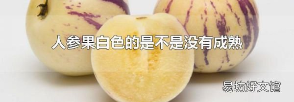 人参果白色的是不是没有成熟