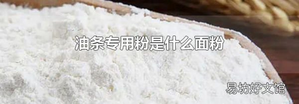 油条专用粉是什么面粉