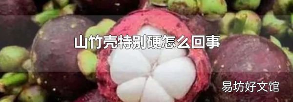 山竹壳特别硬怎么回事