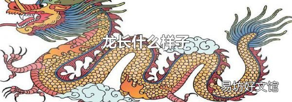 龙长什么样子