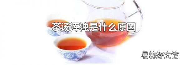 茶汤浑浊是什么原因