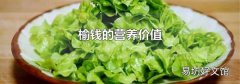 榆钱的营养价值