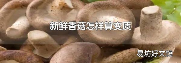 新鲜香菇怎样算变质