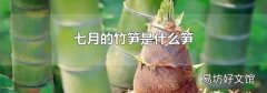 七月的竹笋是什么笋