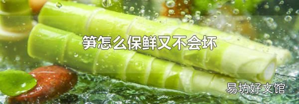 笋怎么保鲜又不会坏