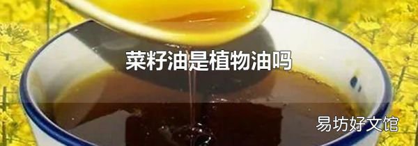 菜籽油是植物油吗