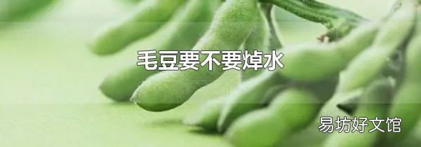 毛豆要不要焯水