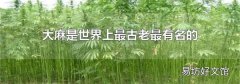 大麻是世界上最古老最有名的什么类植物