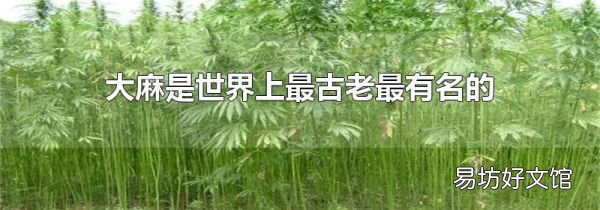 大麻是世界上最古老最有名的什么类植物
