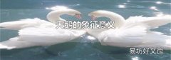 天鹅的象征意义