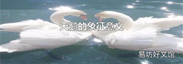 天鹅的象征意义
