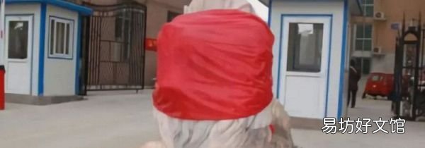 結婚為什么貼獅子
