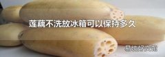 莲藕不洗放冰箱可以保持多久