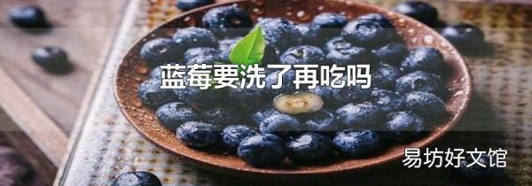 蓝莓要洗了再吃吗