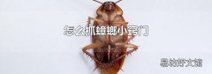 怎么抓蟑螂小窍门