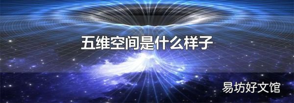 五維空間是什么樣子