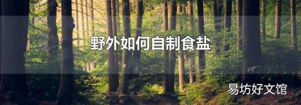 野外如何自制食盐